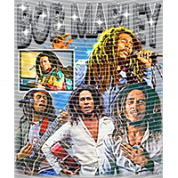 idol singer-GS  1742